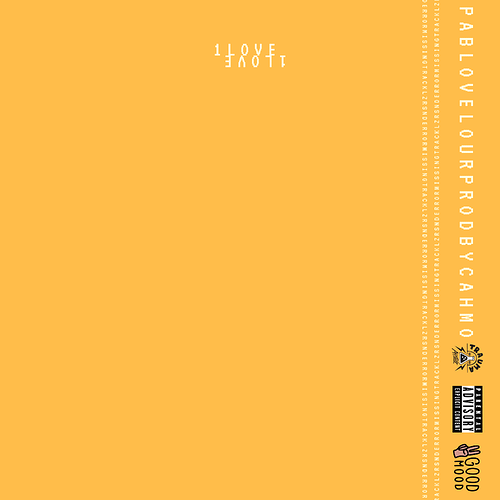 1000045163